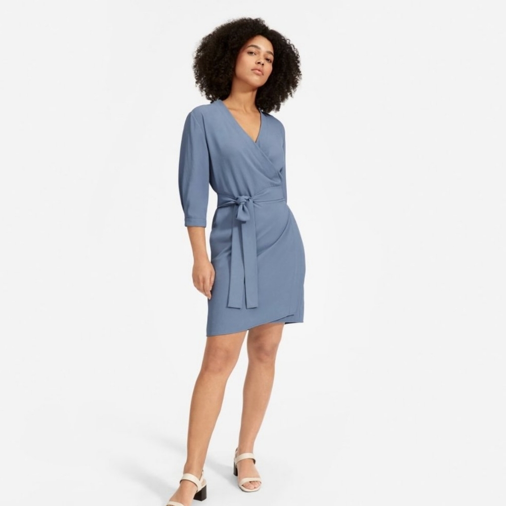 Everlane Wrap Dress